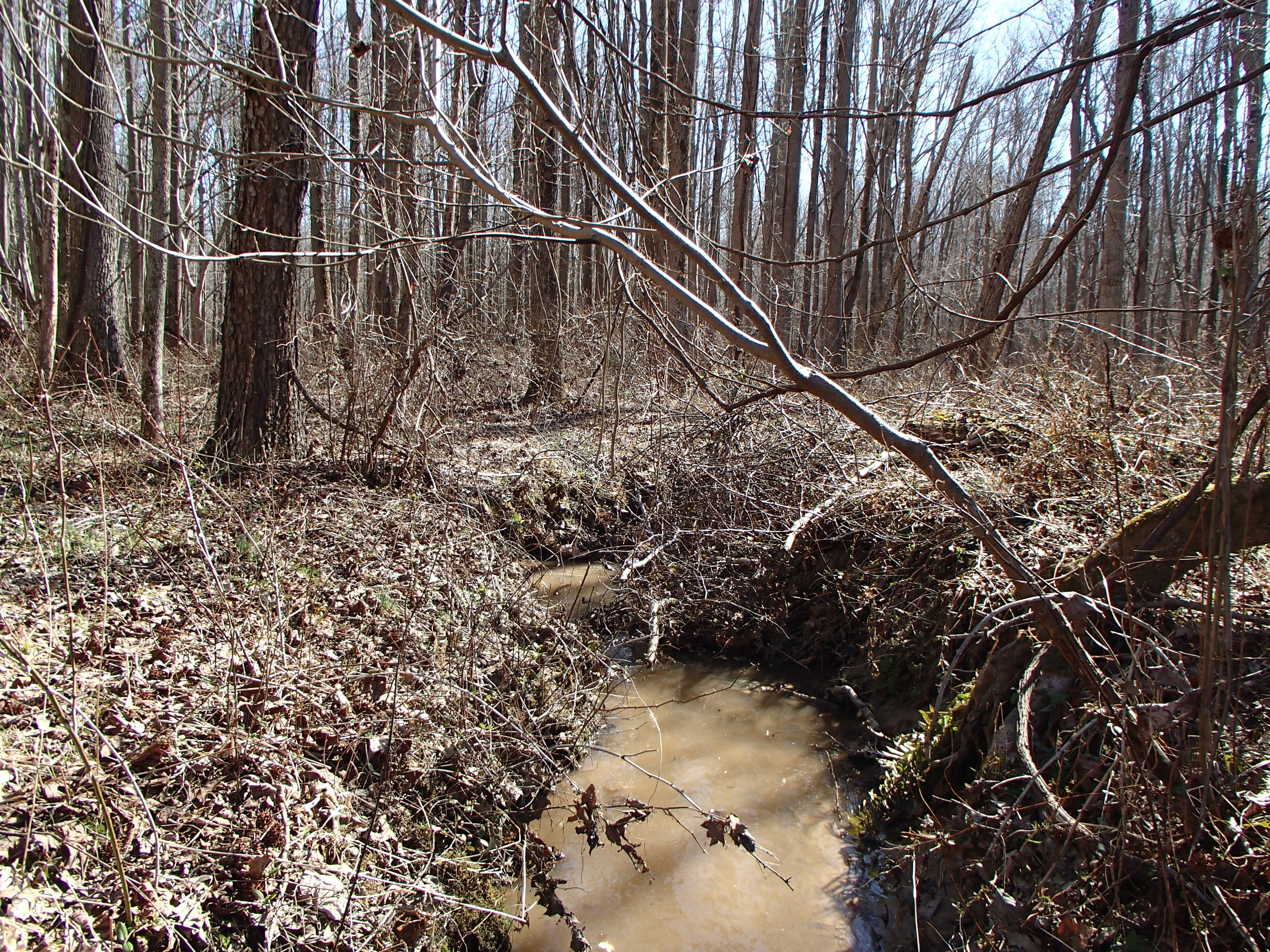 Field photo showing stream conditions at site WEST-105-X-2016_midpoint looking downstream